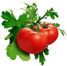 Food For Posioning — Poisonous Food